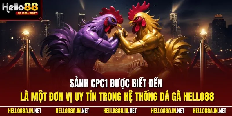 Sảnh CPC1 được biết đến là một đơn vị uy tín trong hệ thống đá gà HELLO88